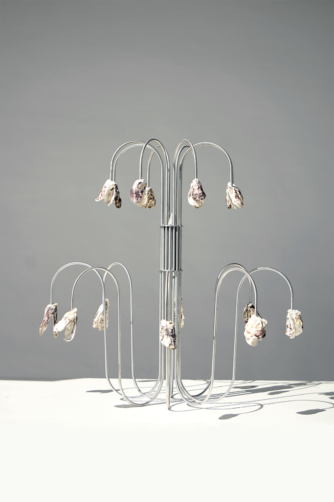CHANDELIER WITH OYSTERS