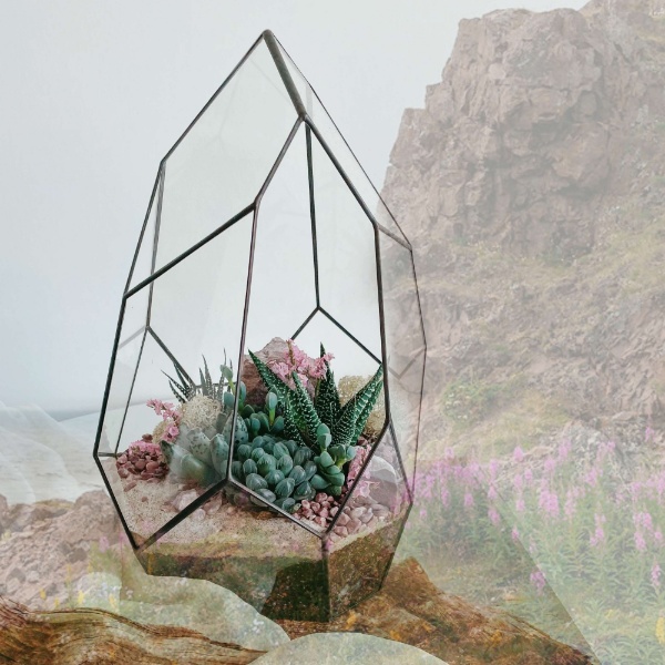 флорариум с суккулентами Терский берег