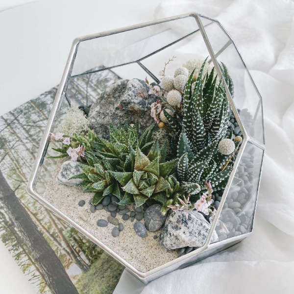 флорариум с суккулентами Сердце Кольского