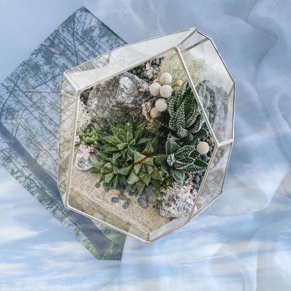флорариум с суккулентами Сердце Кольского