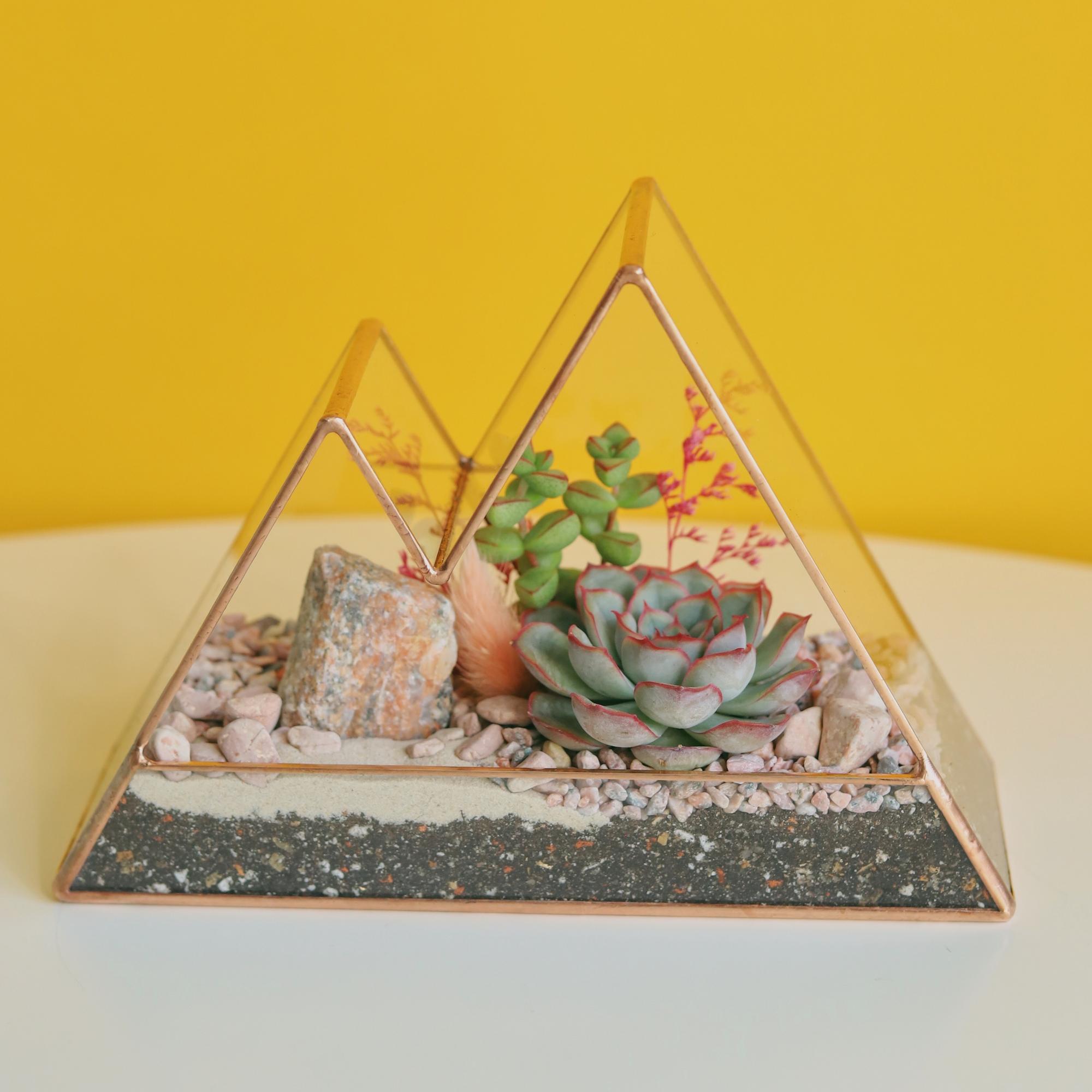 флорариум Мини-Горы с эхеверией и крассулой