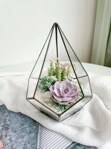 флорариум капля S c суккулентами Изумрудная