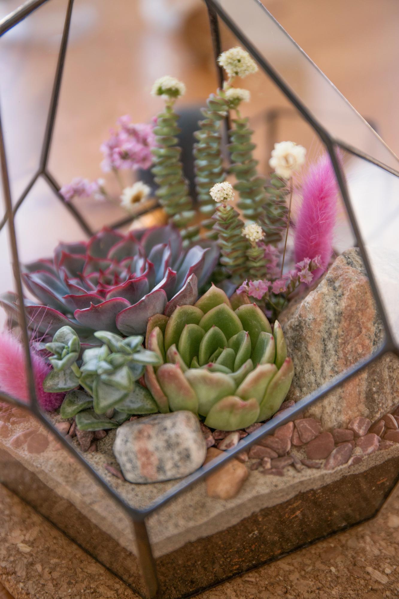 флорариум с суккулентами Горячее сердце