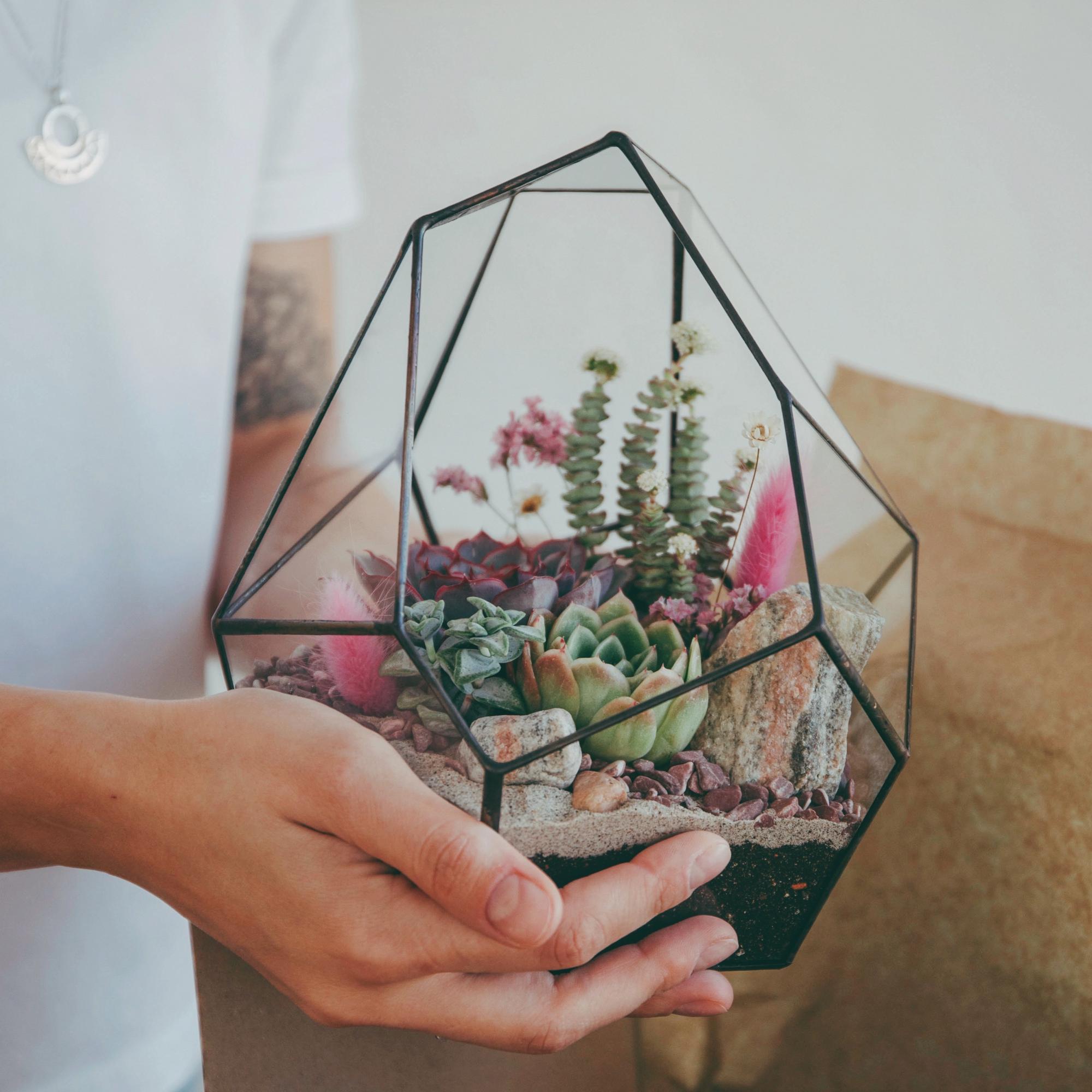 флорариум с суккулентами Горячее сердце