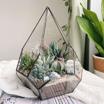 флорариум с теневыносливыми суккулентами Скай