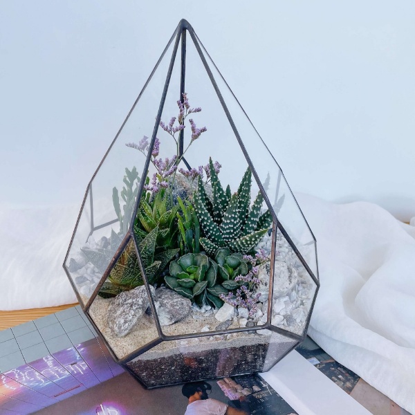 флорариум с теневыносливыми суккулентами Скай