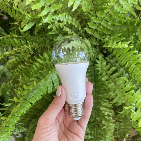 фитолампа для суккулентов, растений, флорариумов