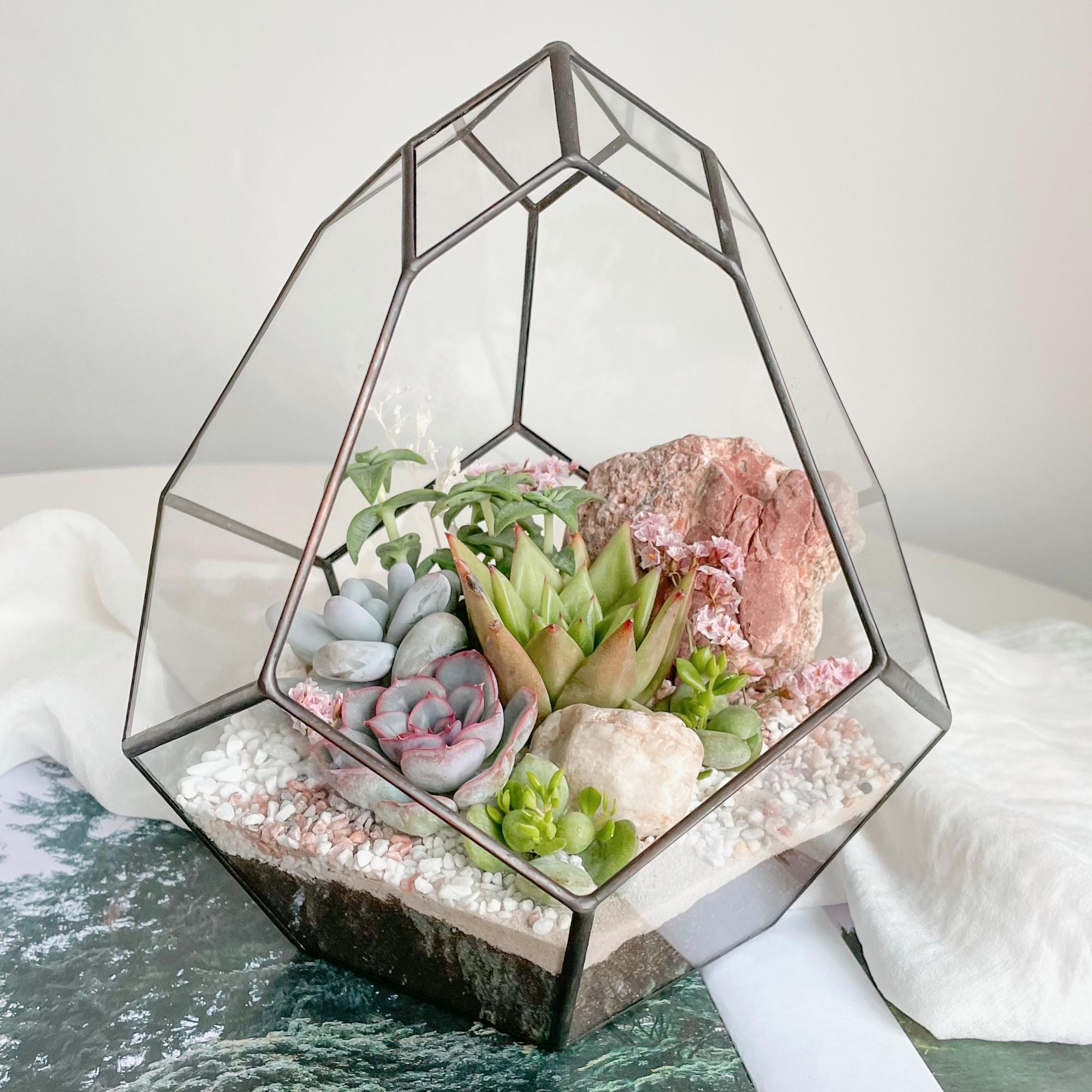 флорариум с суккулентами  Бутон