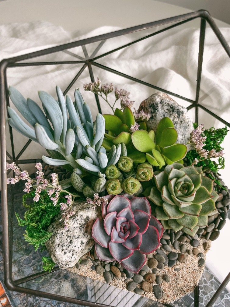 флорариум с суккулентами Яркий