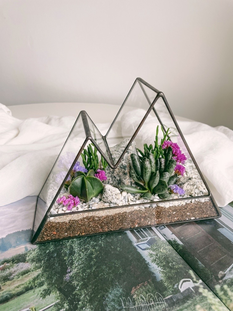 флорариум Мини-горы с теневыносливыми суккулентами