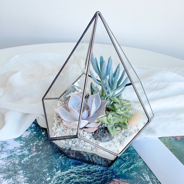 флорариум с суккулентами Светлая капелька