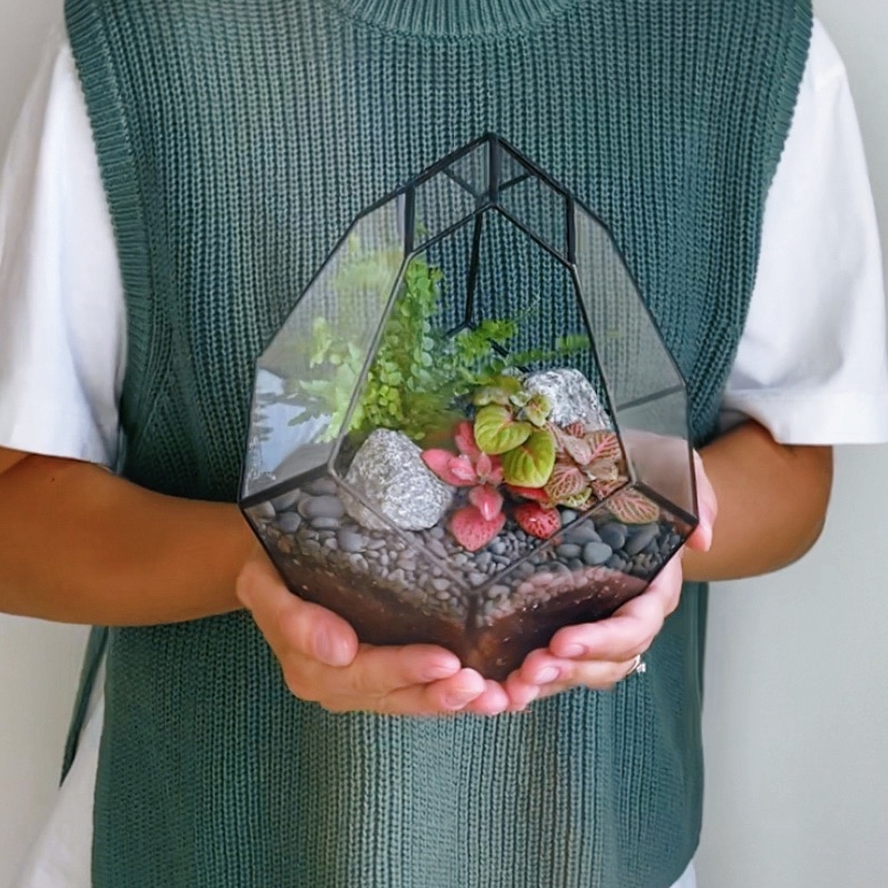 флорариум  Бутон с фиттониями и папоротником