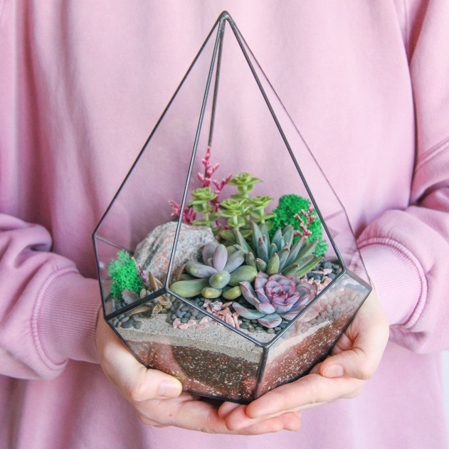 флорариум с суккулентами Солнечный