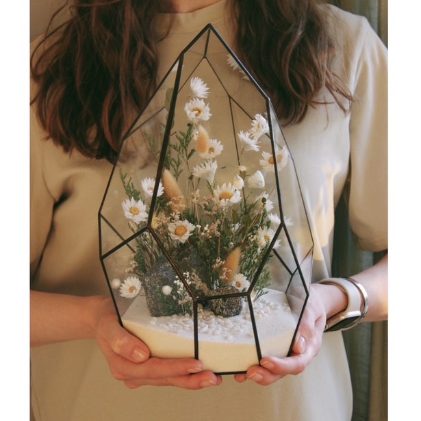 флорариум со стабилизированными растениями Скала ромашек