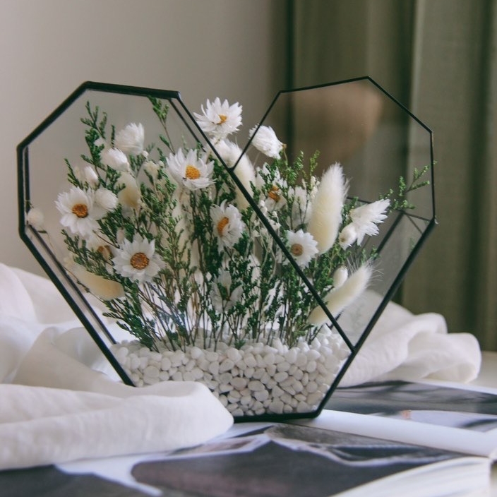 флорариум с стабилизированными Ромашками