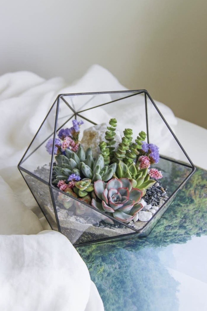 флорариум c суккулентами ФлаверПавер