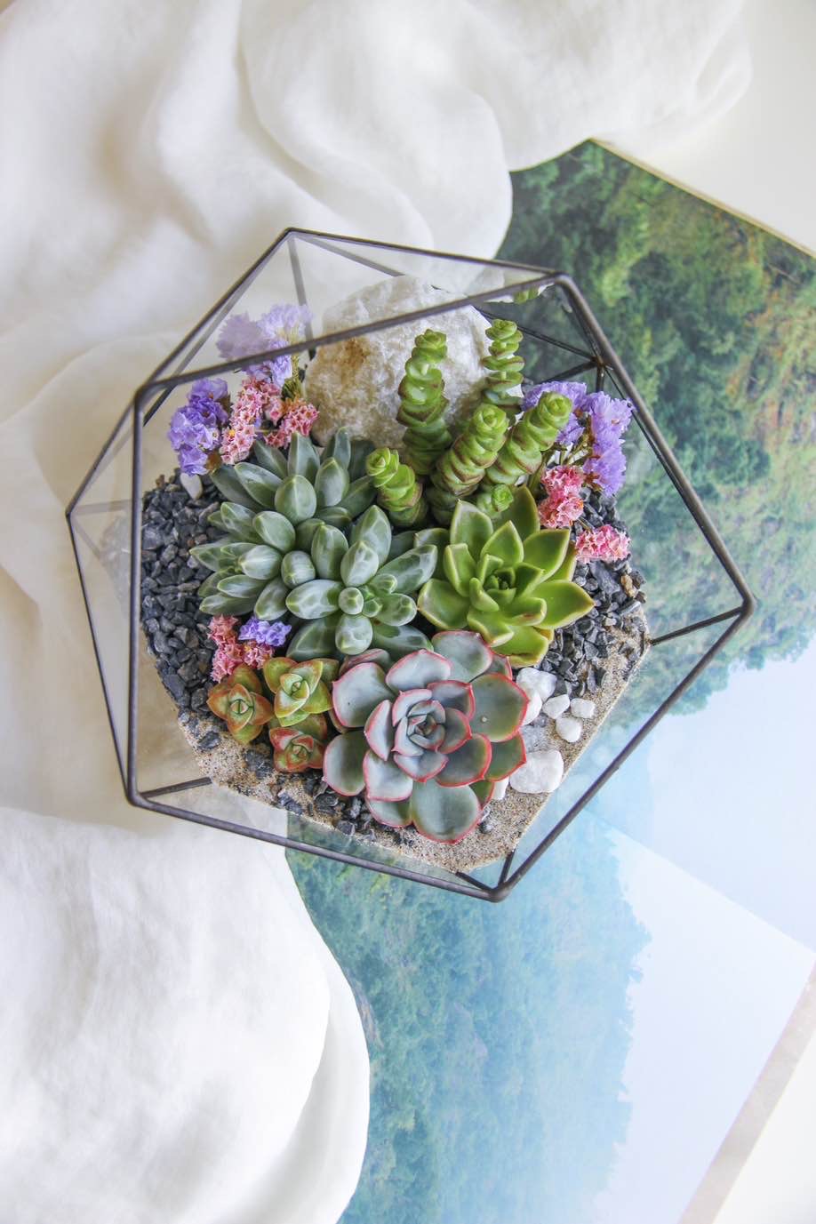 флорариум c суккулентами ФлаверПавер