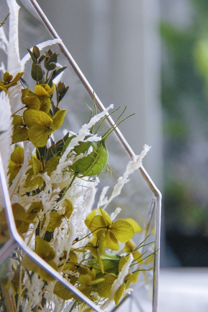 флорариум со стабилизированными растениями Ягель