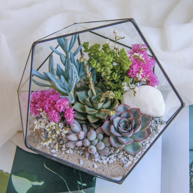 флорариум с суккулентами Март