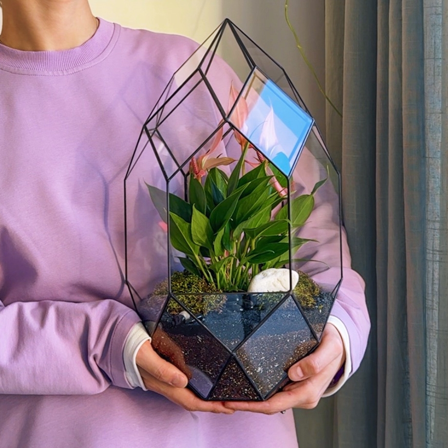 флорариум с цветущим Антуриумом