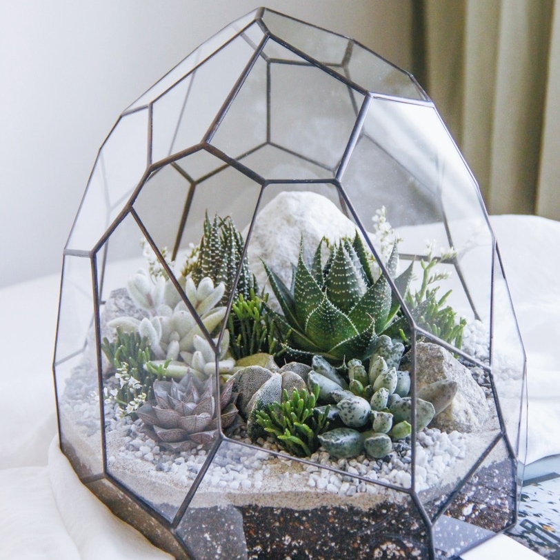 флорариум с теневыносливыми суккулентами Таинственный лес