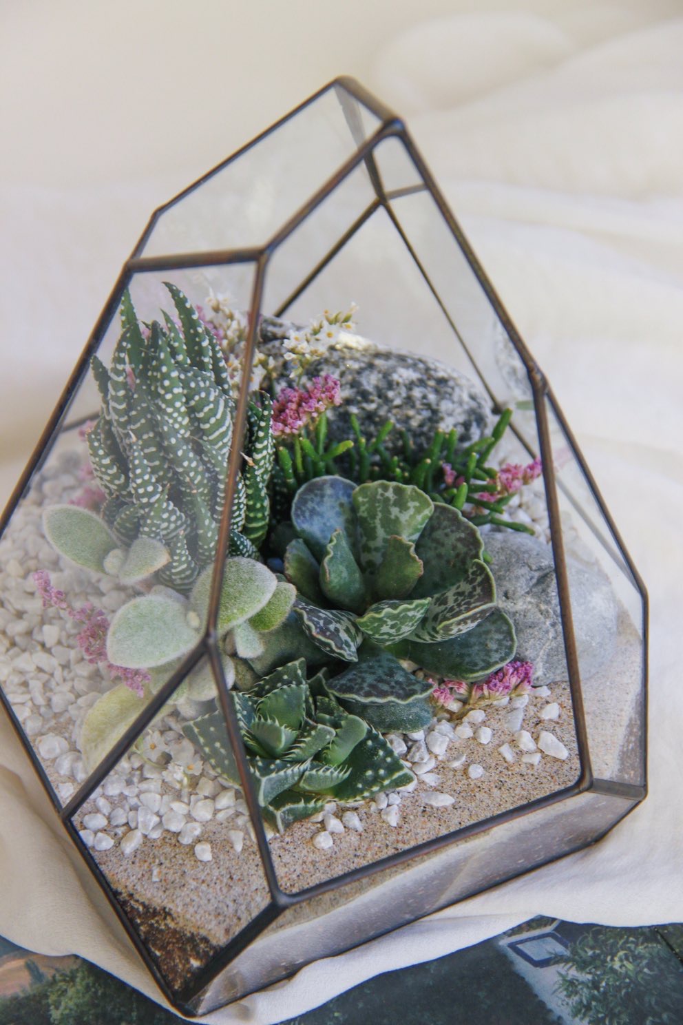 флорариум с теневыносливыми суккулентами Сириус