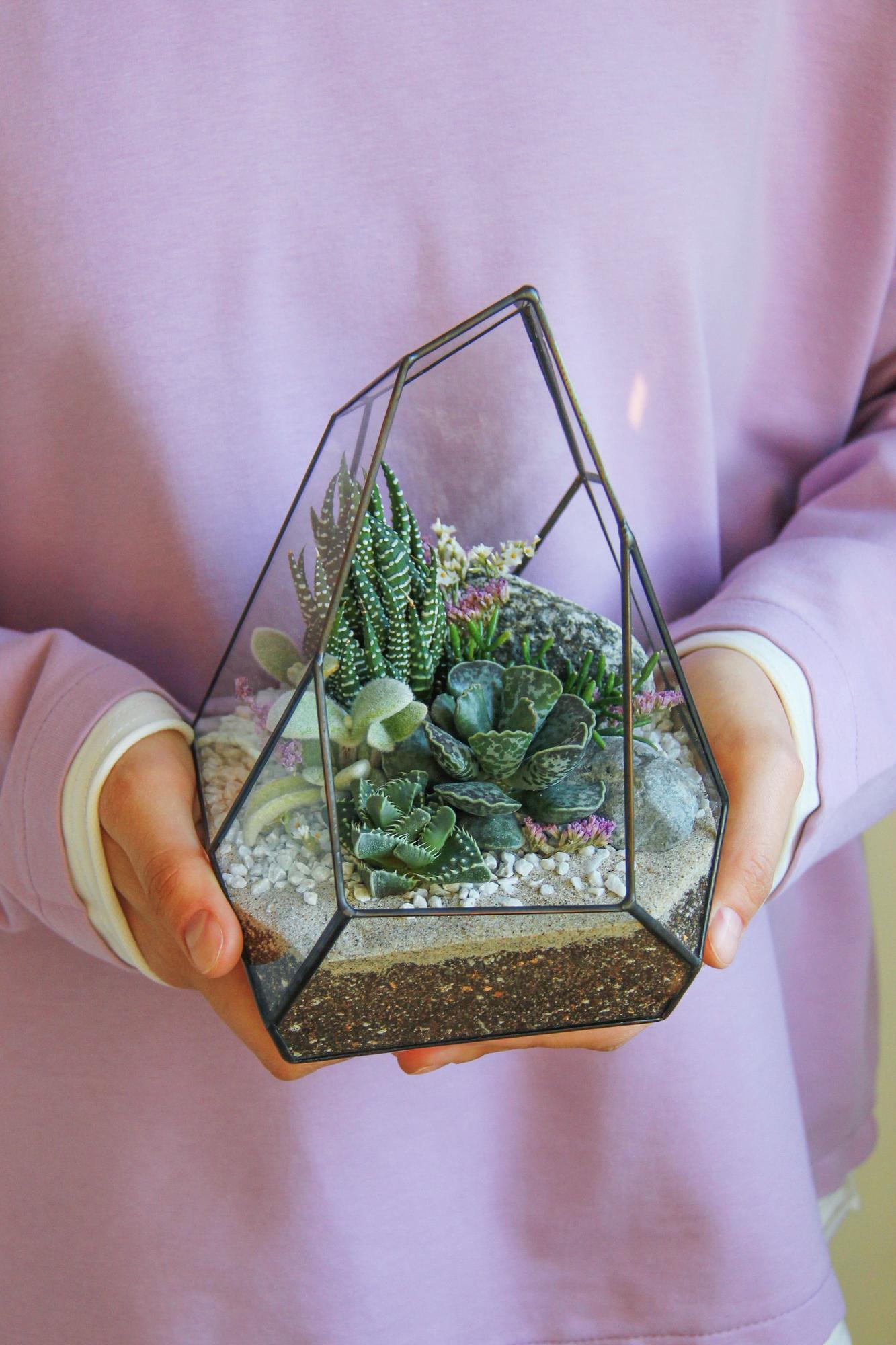 флорариум с теневыносливыми суккулентами Сириус