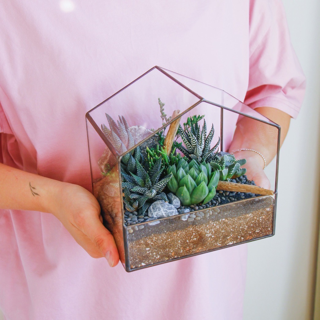 флорариум с теневыносливыми суккулентами Барнхаус