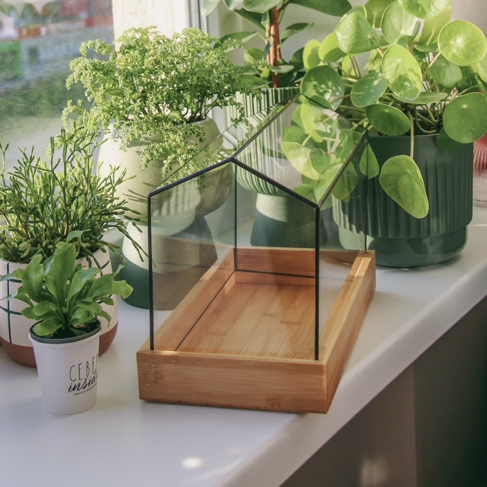 флорариум Барнхаус тепличка с бамбуковым поддоном