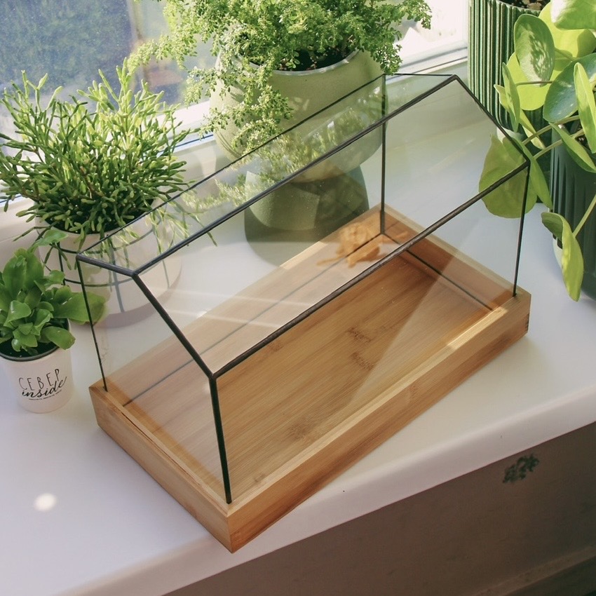 флорариум Барнхаус тепличка с бамбуковым поддоном