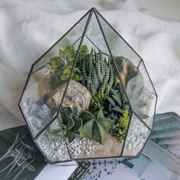 флорариум с теневыносливыми суккулентами Серебряные цветы