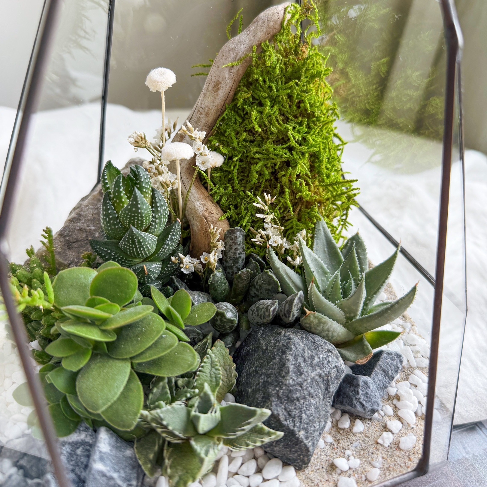 флорариум с теневыносливыми суккулентами Сказочный лес