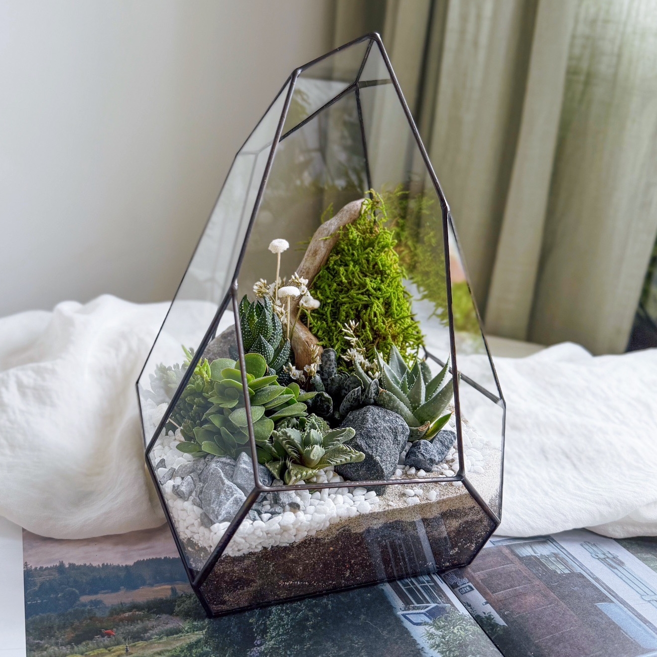 флорариум с теневыносливыми суккулентами Сказочный лес