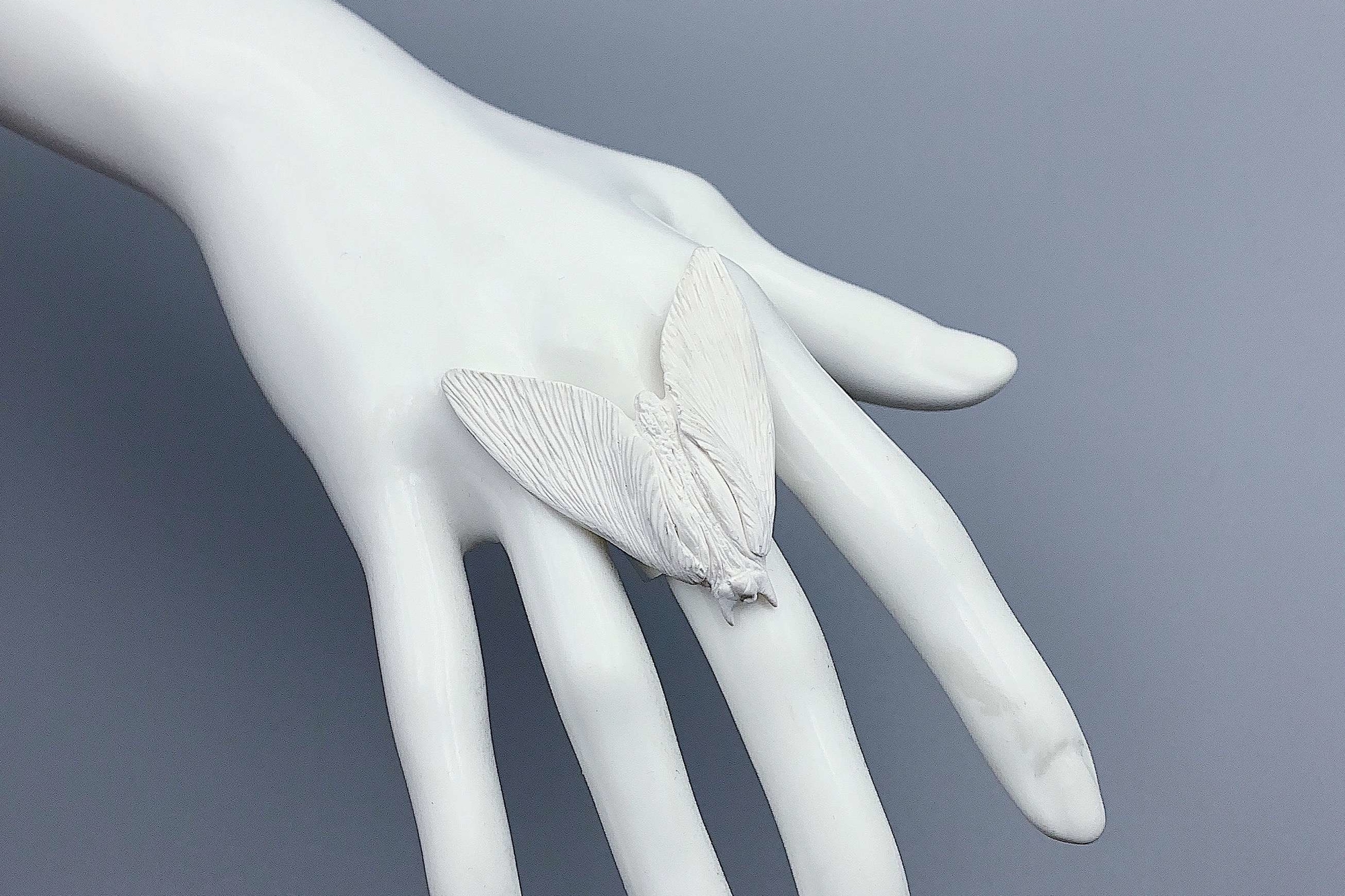 кольцо большой белый мотылек