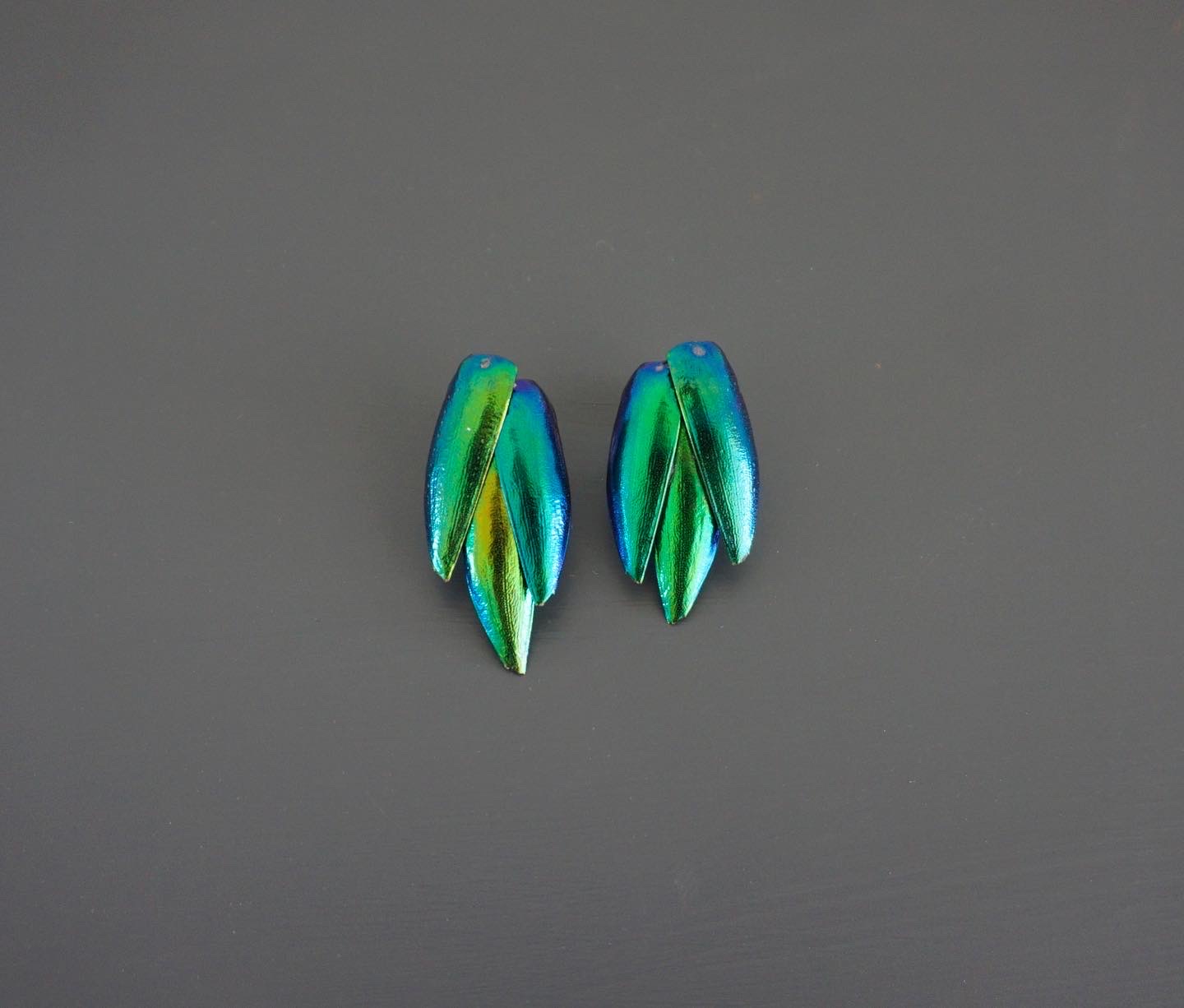 серьги с крыльями жуков