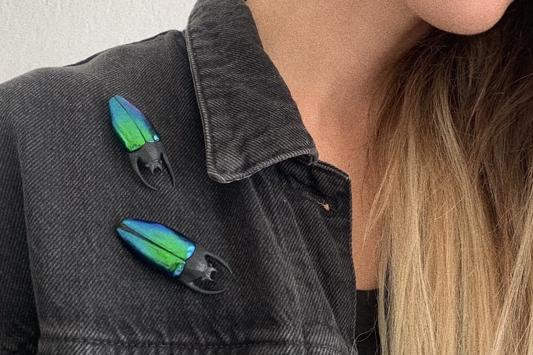 брошь переливающийся жук