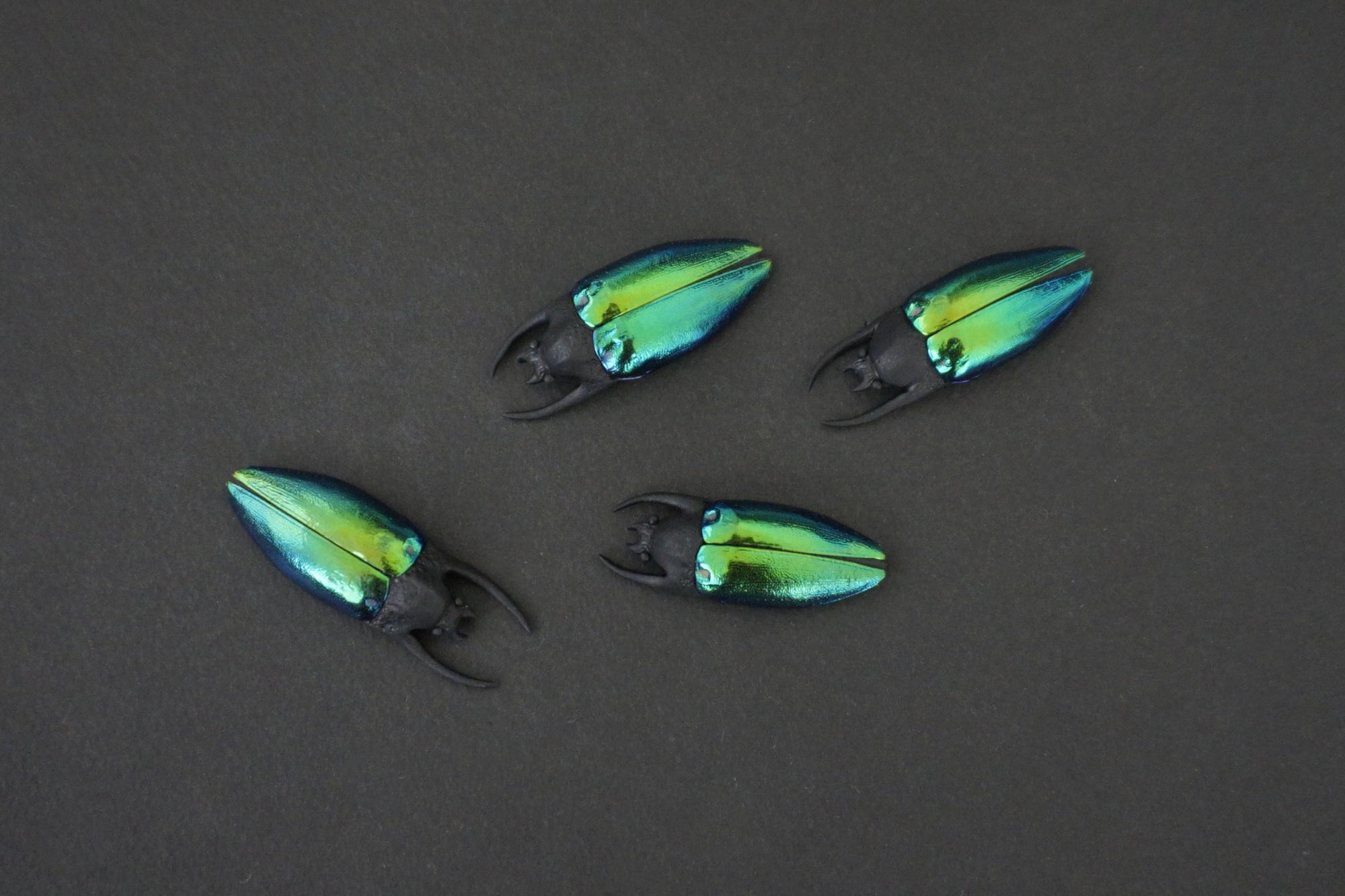 брошь переливающийся жук