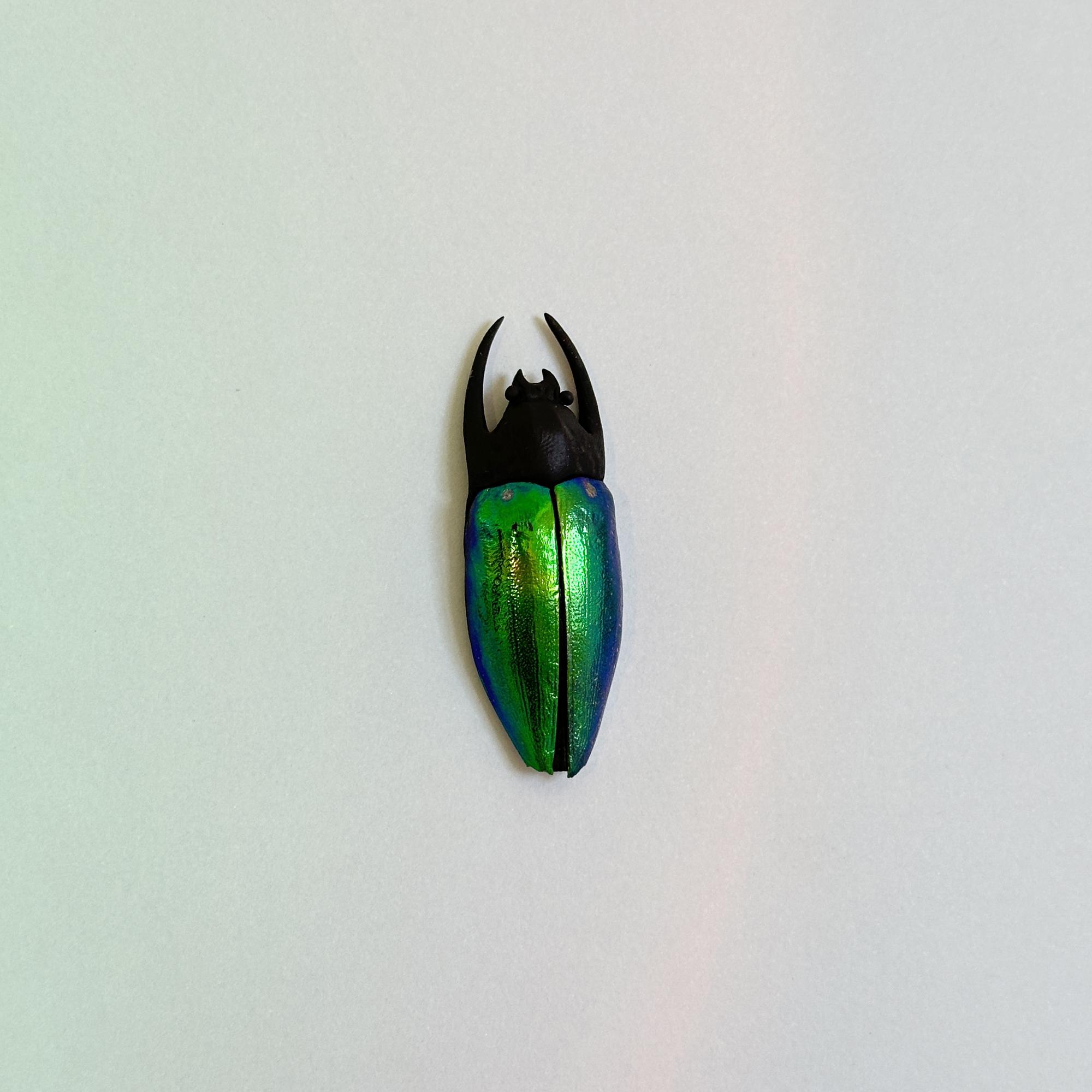 моносерьга переливающийся жук