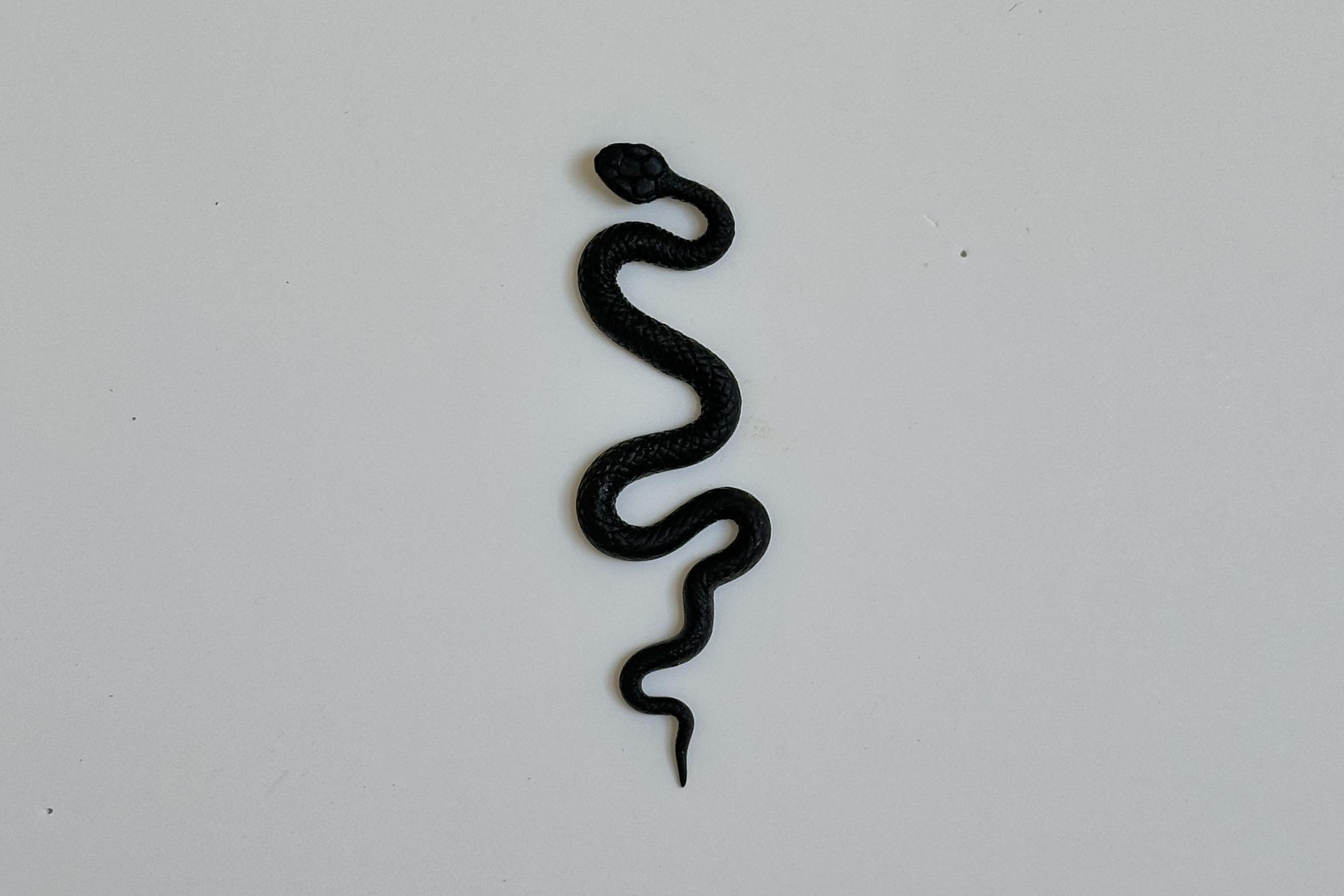 моносерьга черная змея  №2