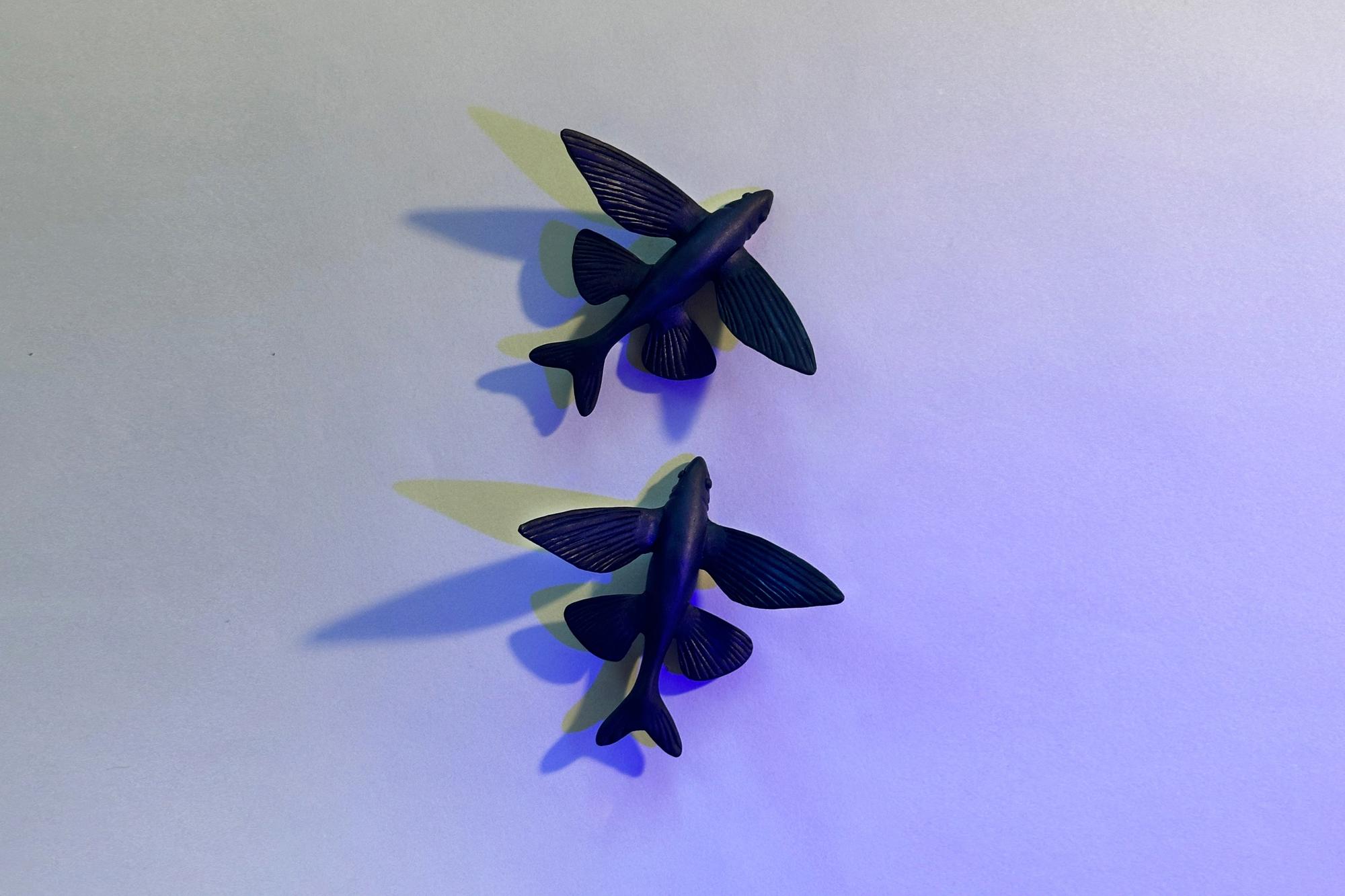 серьги летучие рыбы черные