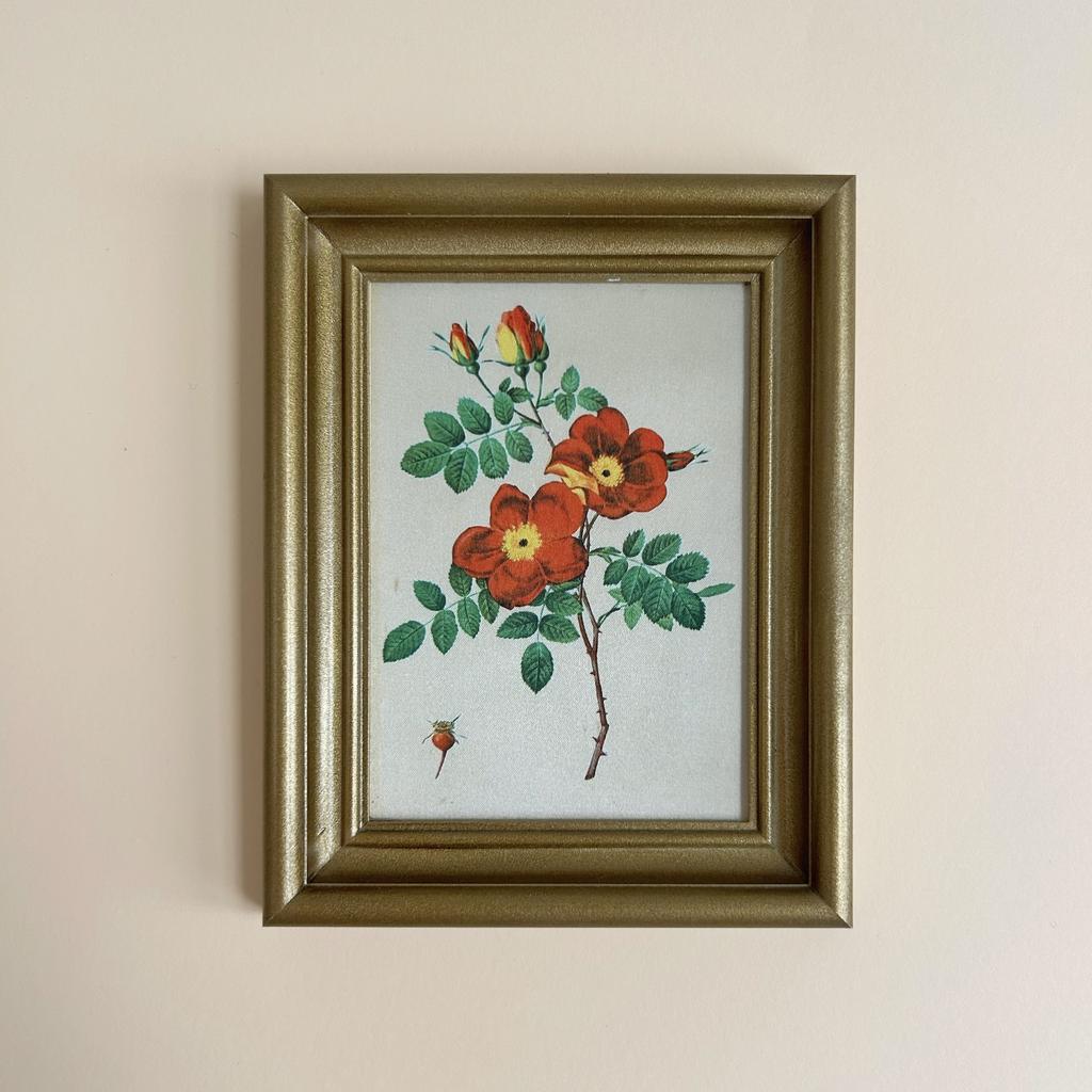 Небольшая картина, шелкография Пьера-Джозефа Редуте