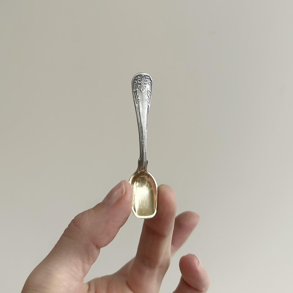 Маленькая ложечка для специй