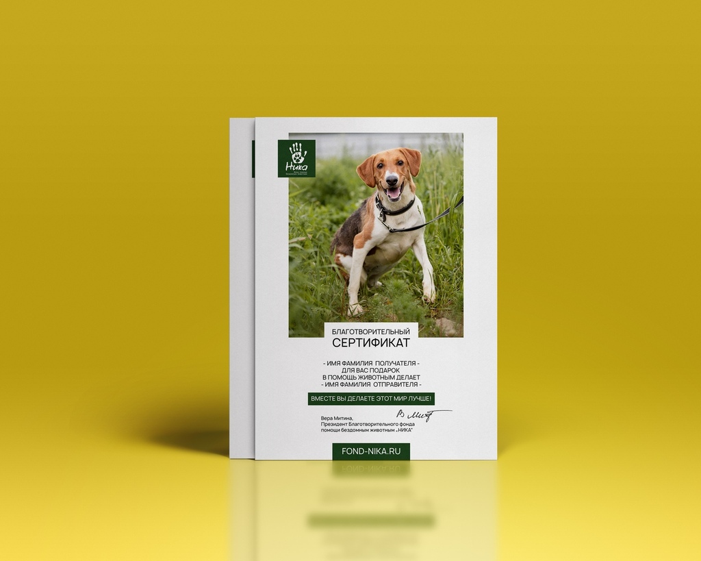 Благотворительный сертификат