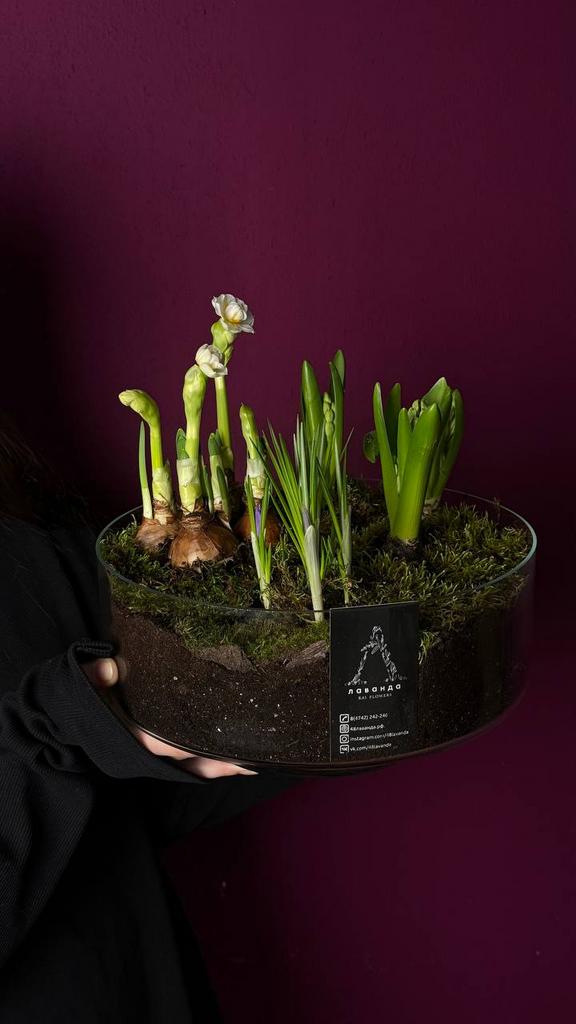 "ЦВЕТОЧНЫЙ БОУЛ`1"