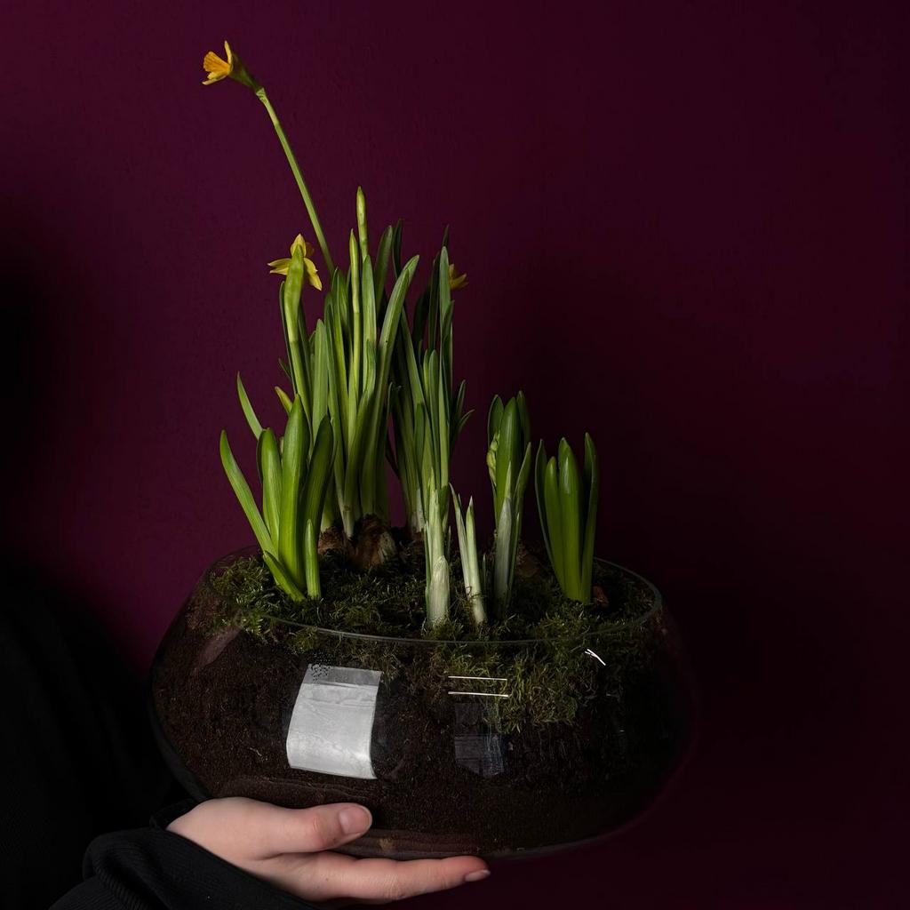 "ЦВЕТОЧНЫЙ БОУЛ`2"