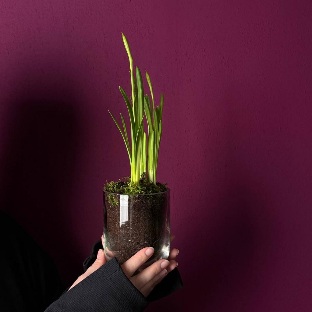 "ЦВЕТОЧНЫЙ БОУЛ`4"