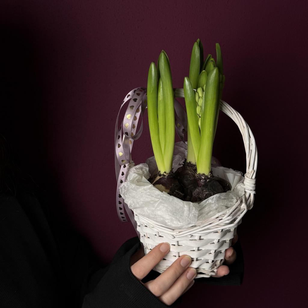 "ЦВЕТОЧНЫЙ БОУЛ`6"