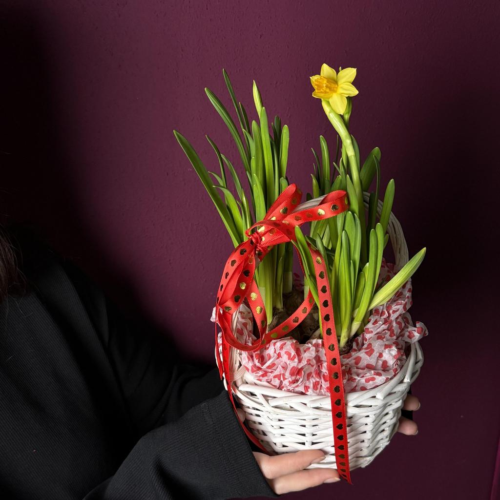 "ЦВЕТОЧНЫЙ БОУЛ`7"