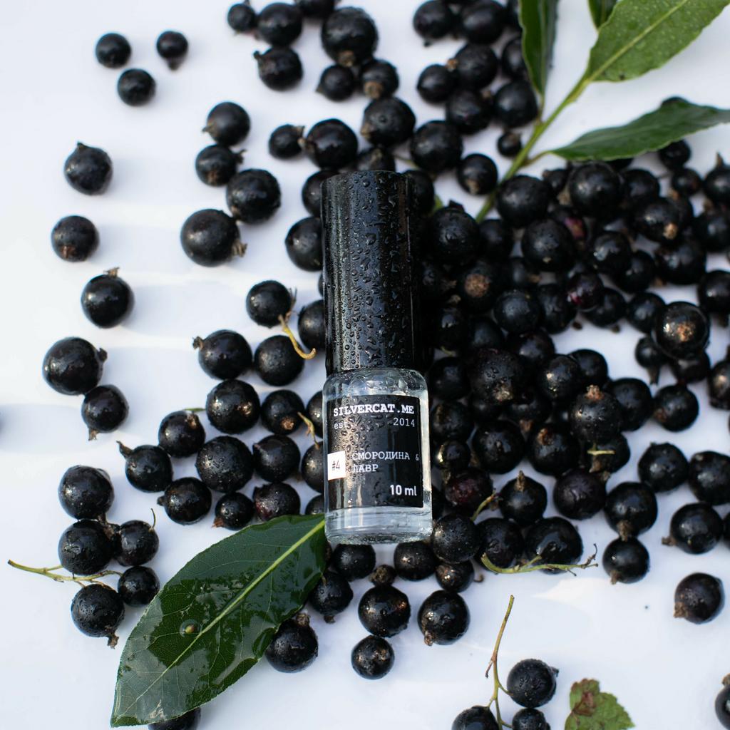 Духи №4 «Смородина & лавр»