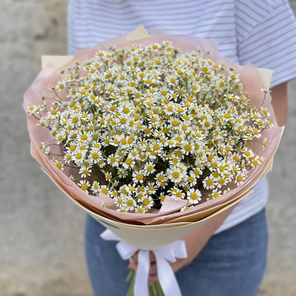 Букет «Нежность 25-ти ромашек»